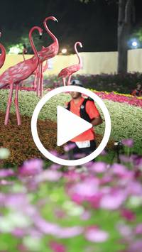 BIB:  <button type="button" onclick="openModal(27591099)" class="btn btn-primary btn-sm float-right" data-toggle="modal" data-target=".modal-high-quality">
                <i class="fa fa-download"></i> Download
                </button>